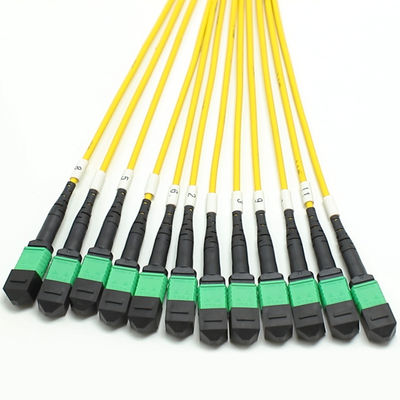كابل MPO Fanout منخفض الخسارة الكمية الكبيرة 1M 144F SMG657A1 MPO APC إلى MPO APC Breakout Fiber Optic Patch Cord