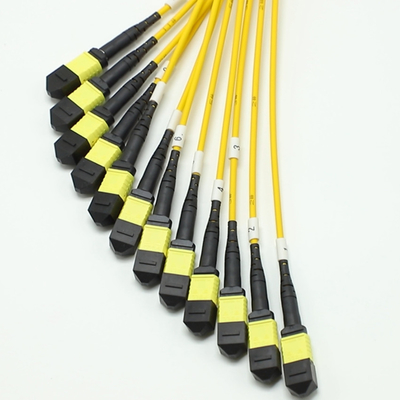 144F MTP MPO Fanout كابل SMG657A1 MPO APC إلى MPO APC Breakout Fiber Optic Patch Cord
