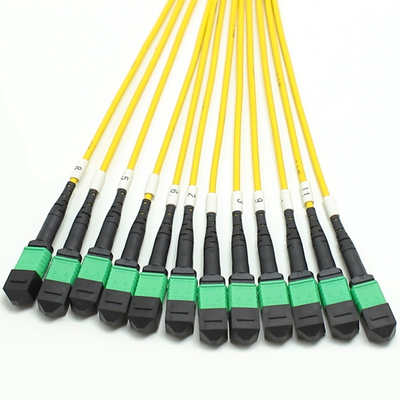 144F MTP MPO Fanout كابل SMG657A1 MPO APC إلى MPO APC Breakout Fiber Optic Patch Cord