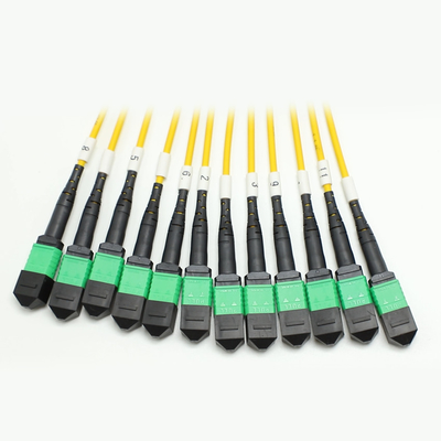 144F MTP MPO Fanout كابل SMG657A1 MPO APC إلى MPO APC Breakout Fiber Optic Patch Cord